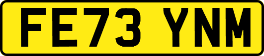 FE73YNM