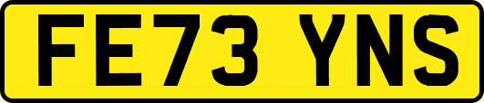 FE73YNS