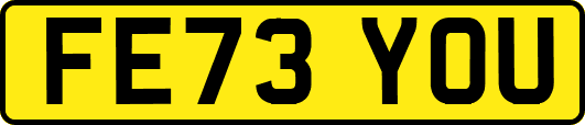FE73YOU