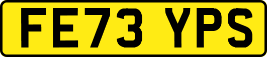 FE73YPS