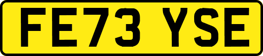 FE73YSE