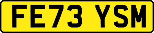 FE73YSM