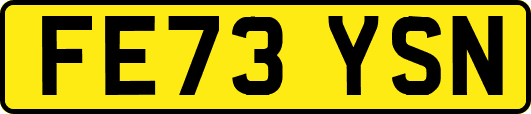 FE73YSN