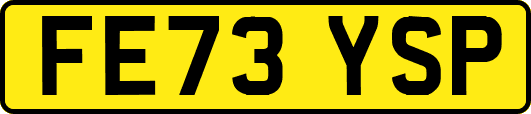 FE73YSP