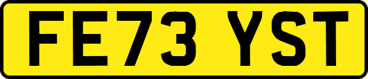 FE73YST