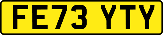 FE73YTY