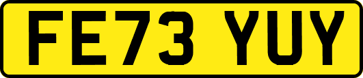 FE73YUY