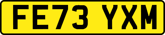 FE73YXM