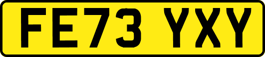 FE73YXY