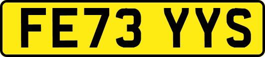 FE73YYS