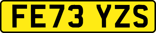 FE73YZS