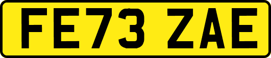 FE73ZAE