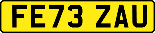 FE73ZAU