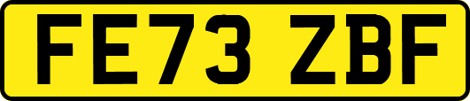 FE73ZBF
