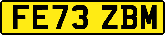 FE73ZBM
