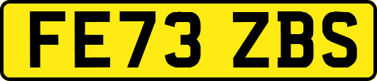 FE73ZBS