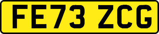 FE73ZCG