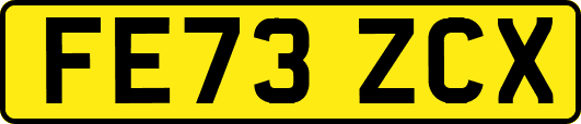 FE73ZCX