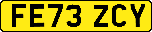 FE73ZCY