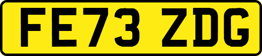 FE73ZDG