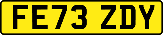 FE73ZDY