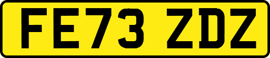 FE73ZDZ