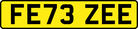 FE73ZEE