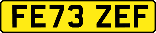 FE73ZEF