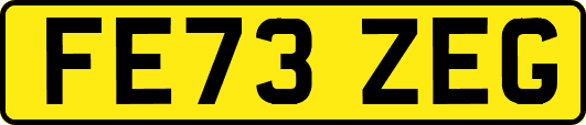 FE73ZEG