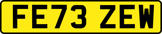 FE73ZEW