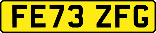 FE73ZFG