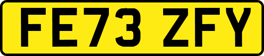 FE73ZFY