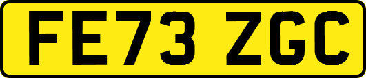 FE73ZGC