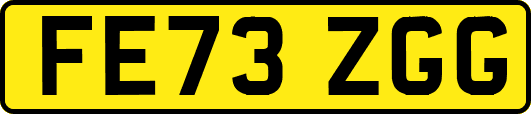 FE73ZGG