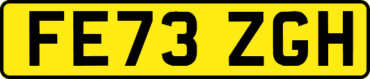 FE73ZGH