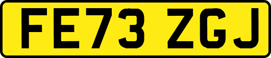 FE73ZGJ