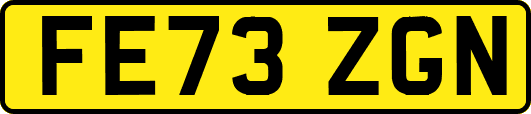 FE73ZGN