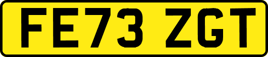FE73ZGT