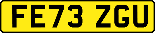 FE73ZGU