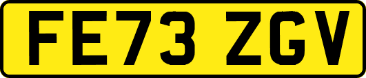 FE73ZGV