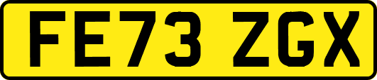 FE73ZGX