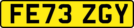 FE73ZGY