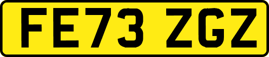 FE73ZGZ