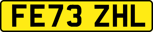 FE73ZHL