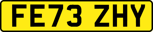 FE73ZHY