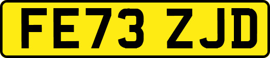FE73ZJD