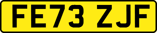 FE73ZJF