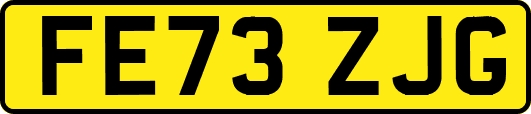 FE73ZJG