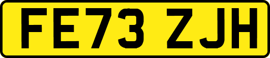 FE73ZJH