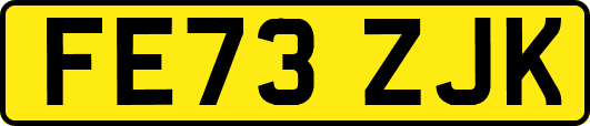 FE73ZJK